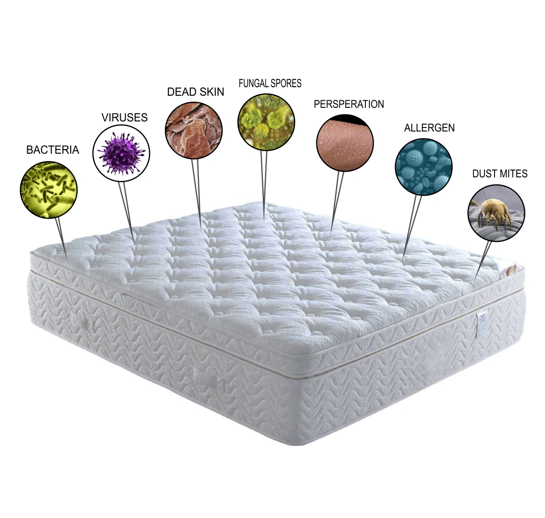 What Happens If You Never Clean Your Mattress?